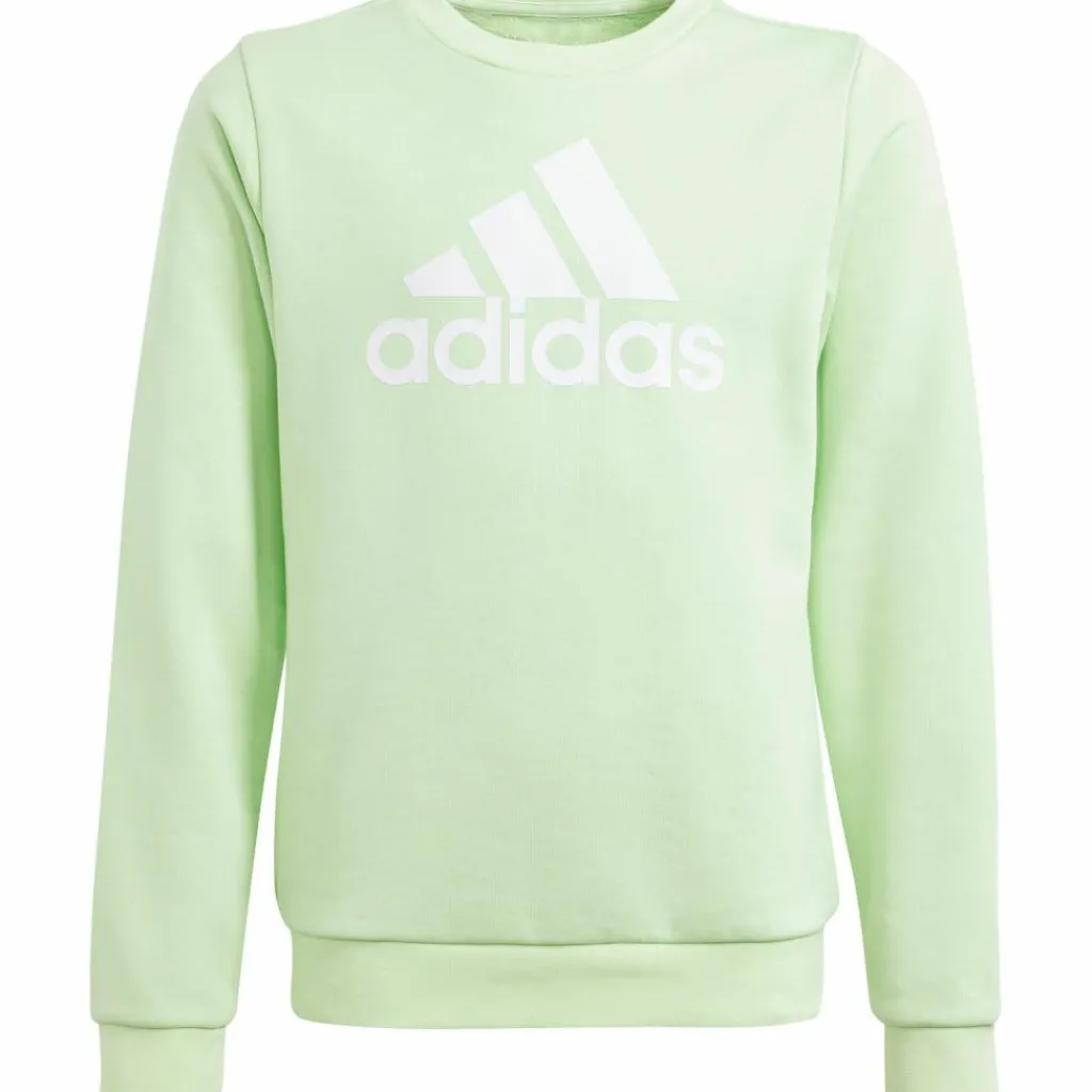 adidas Pullover & Sweats< semi green spark-white