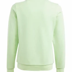 adidas Pullover & Sweats< semi green spark-white