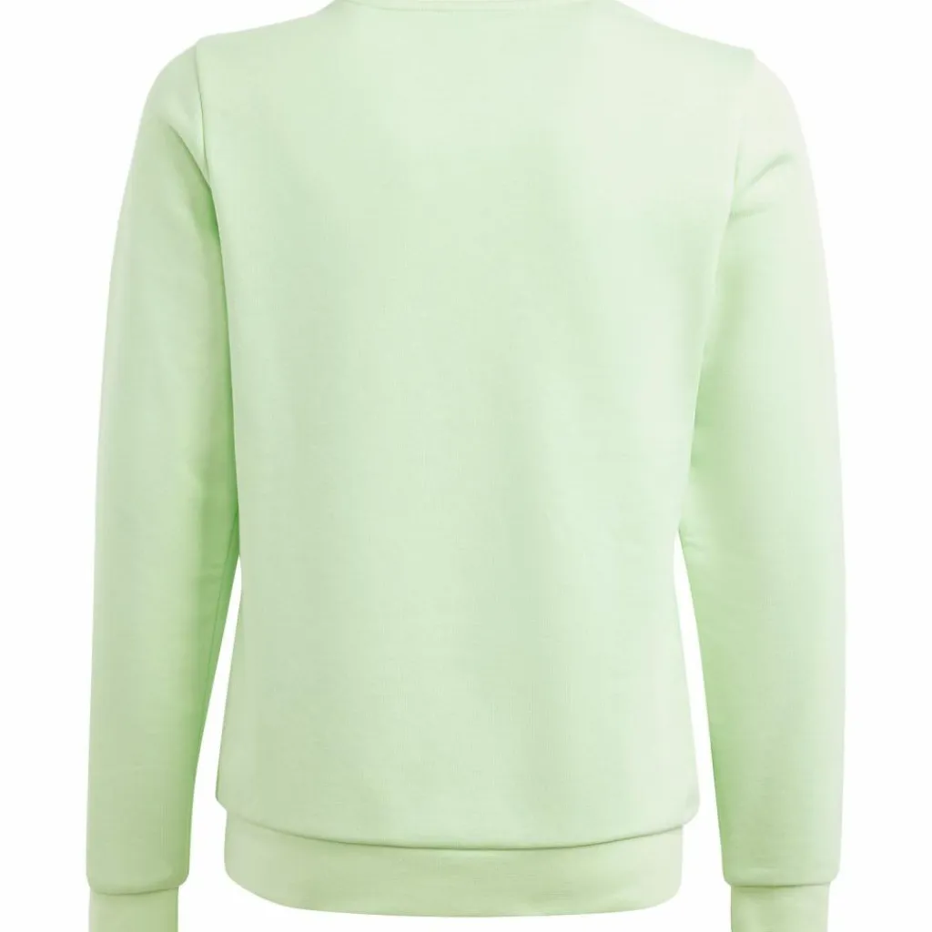 adidas Pullover & Sweats< semi green spark-white