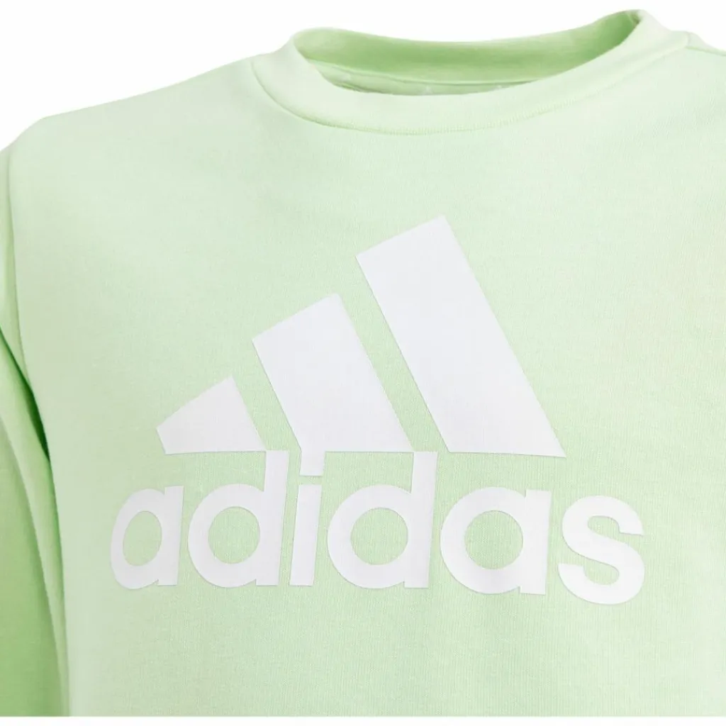 adidas Pullover & Sweats< semi green spark-white