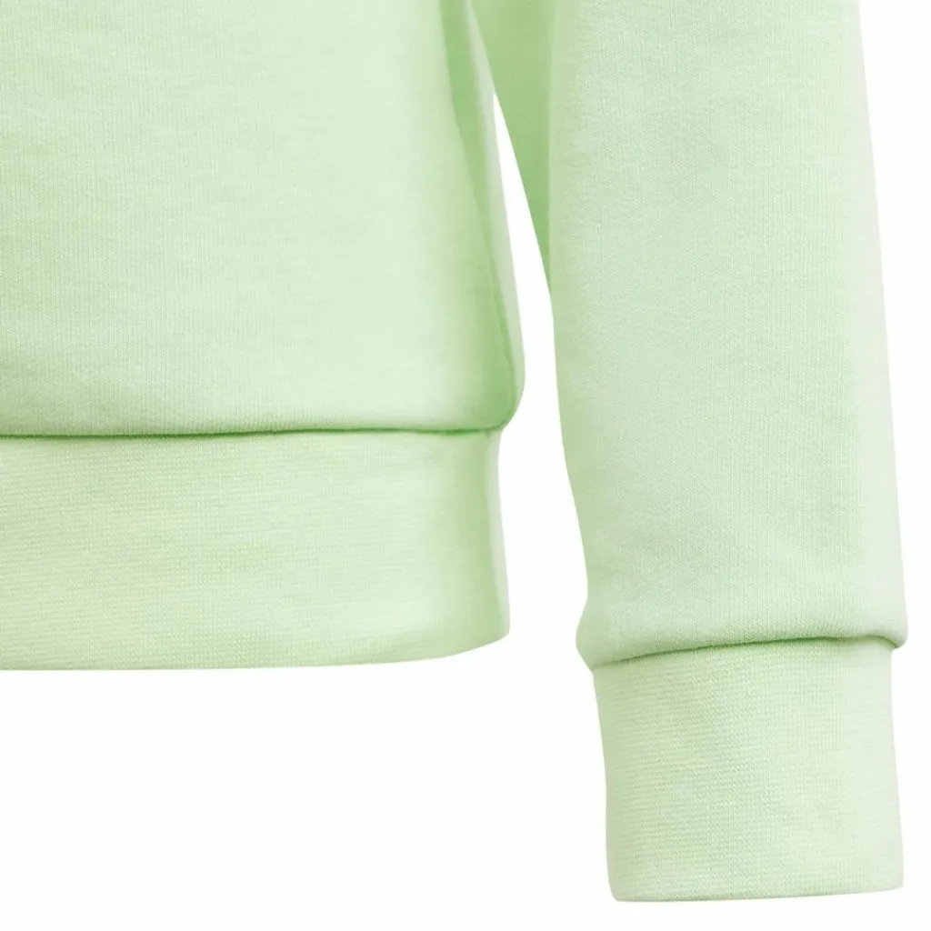 adidas Pullover & Sweats< semi green spark-white