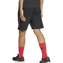 Online Kinder Shorts|Hosen