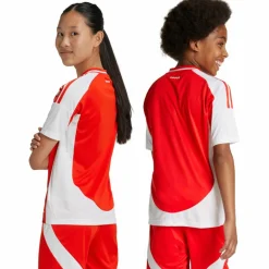 adidas Fußball|Fußball<· 1. FC Union Berlin 24/25 Heim bunt