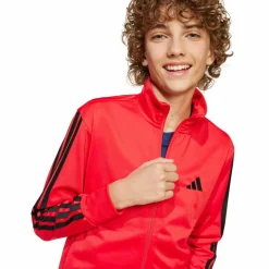 Hot · 3 STRIPES Kinder Trainingsanzüge