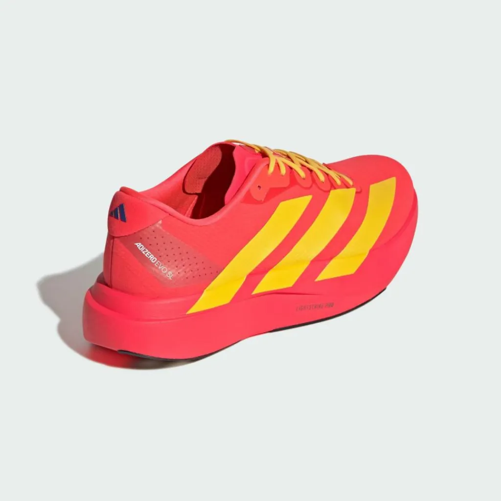 adidas Laufschuhe<· Adizero EVO SL Schuh Lucid Red / Bold Gold / Semi Lucid Blue