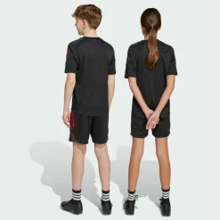 adidas Shorts<· Ajax Tiro 25 Competition Kids Black / White / Bold Red