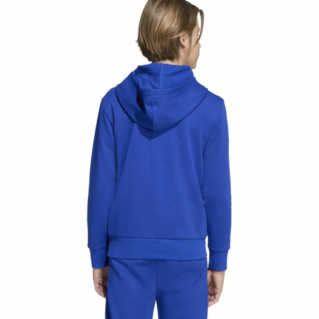 adidas Pullover & Sweats<· BIG LOGO team royal blue-blue fusion-glow blue