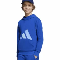 adidas Pullover & Sweats<· BIG LOGO team royal blue-blue fusion-glow blue