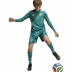 adidas Trikots<· DFB WM 2026 Heim actgrn