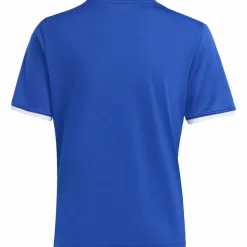 adidas Fußball|Fußball<· ENT26 JSY Y royblu-white