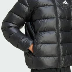 adidas Winterjacken<· Essentials CLIMAWARM Kunstdaunen Jacke Black