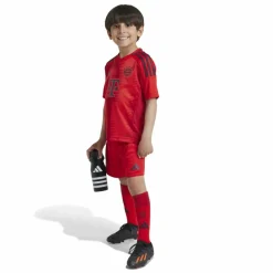 Best · FC Bayern München 24/25 Heim Kinder Trikots