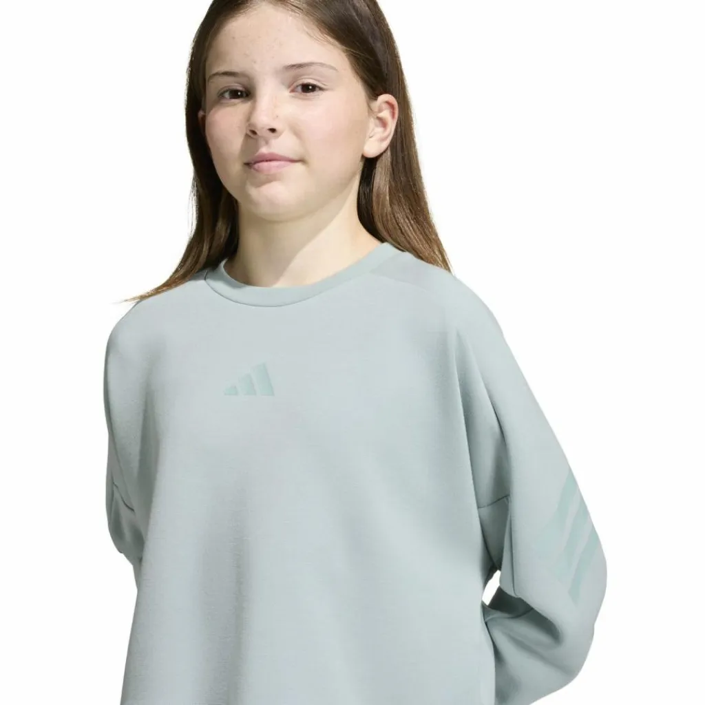 adidas Training|Pullover & Sweats<· FI 3S wosa-tacgrn