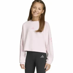 adidas Training|Pullover & Sweats<· FI 3S clpink-trupnk