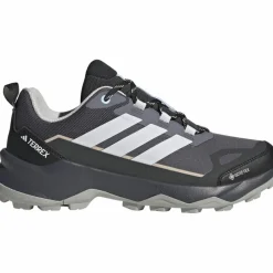 adidas Wanderschuhe<· GTX TERREX SKYCHASER AX5 auon-dshgry-carbon