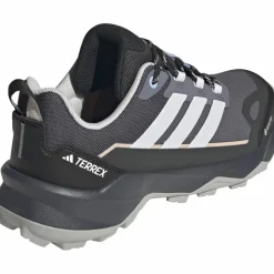 adidas Wanderschuhe<· GTX TERREX SKYCHASER AX5 auon-dshgry-carbon