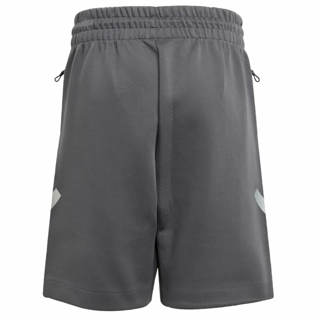 adidas Shorts<· Mercedes – AMG Petronas Formula One Grey Five