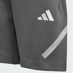 adidas Shorts<· Mercedes – AMG Petronas Formula One Grey Five