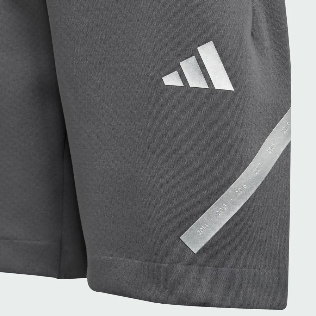 adidas Shorts<· Mercedes – AMG Petronas Formula One Grey Five