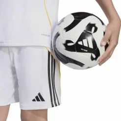 adidas Shorts<· Real Madrid 25-26 Heim white