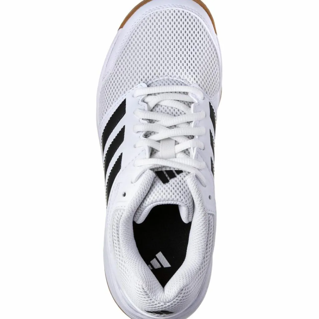 Outlet · Speedcourt Volleyball|Tischtennis