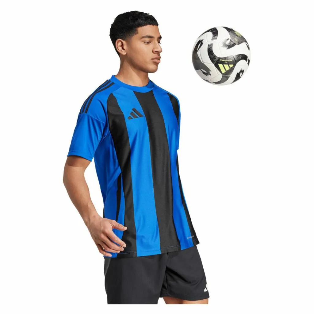 · Striped 24 Trikot Herren Trikots