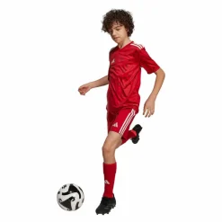 Online · Team Icon 25 Trikot Kids Kinder Trikots