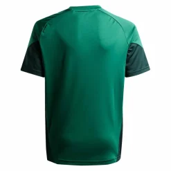 adidas Trikots<· Tiro 25 Competition Trikot Kids gruengruen