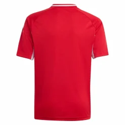 adidas Trikots<· Tiro 25 Competition Trikot Kids rotgrau