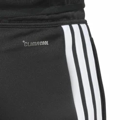 · TIRO26L TRPNTS Herren Training|Fußball