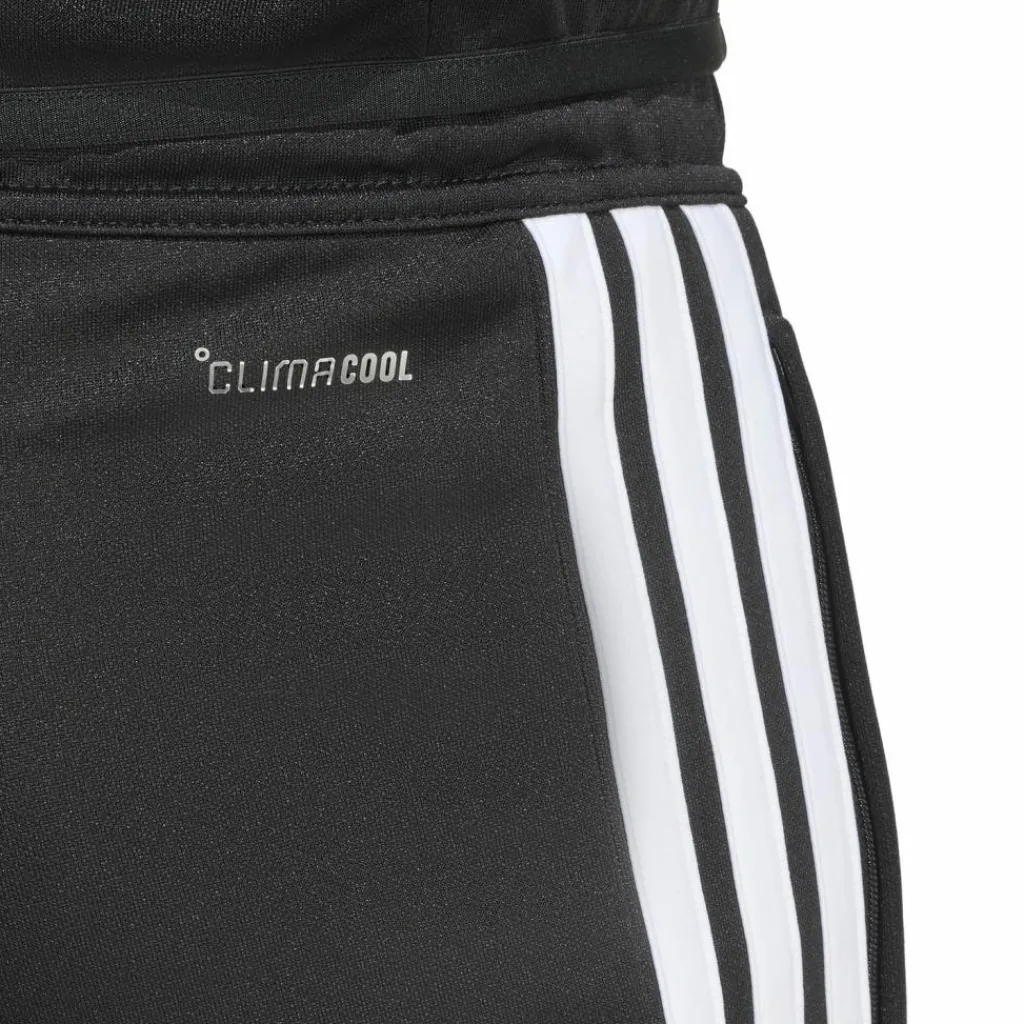 · TIRO26L TRPNTS Herren Training|Fußball