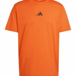 Hot · TR ID Herren Training|Shirts