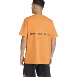 Hot · TR ID Herren Training|Shirts