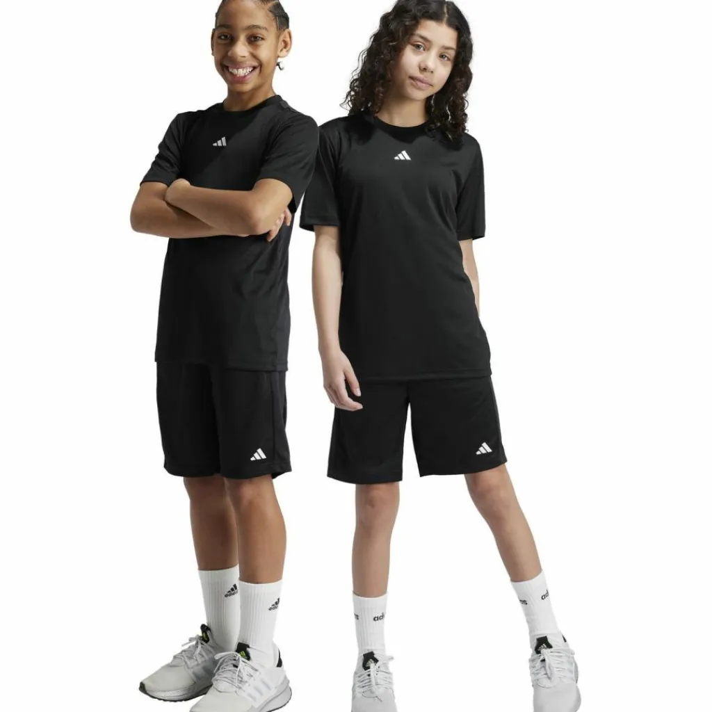 Clearance · TRAIN ESSENTIALS Kinder Training|Training