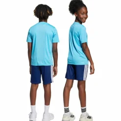adidas Trainingsanzüge<· TRAIN ESSENTIALS 3 STRIPES bright cyan-white