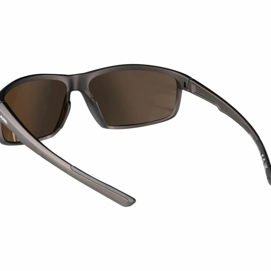 ALPINA Radsport|Fahrradbrillen<· DEFEY tin-black matt