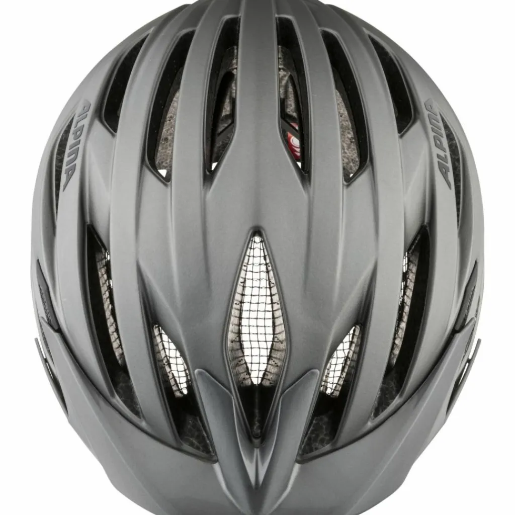 ALPINA Schutzausrüstung|Schutzausrüstung<· PARANA dark-silver matt