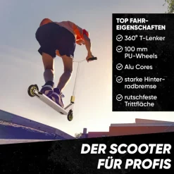 Apollo Skateboarding<· Star Pro weiß-gold