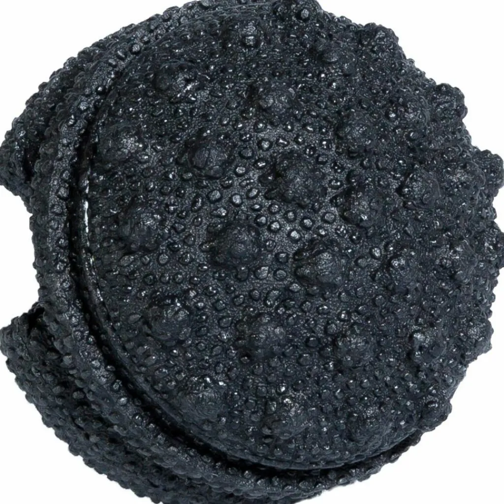 BLACKROLL Faszienrollen<· Twister schwarz