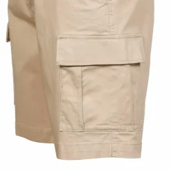 CHAMPION Hosen|Streetwear< western khaki