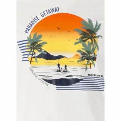 Clearance · Flair Volleyball