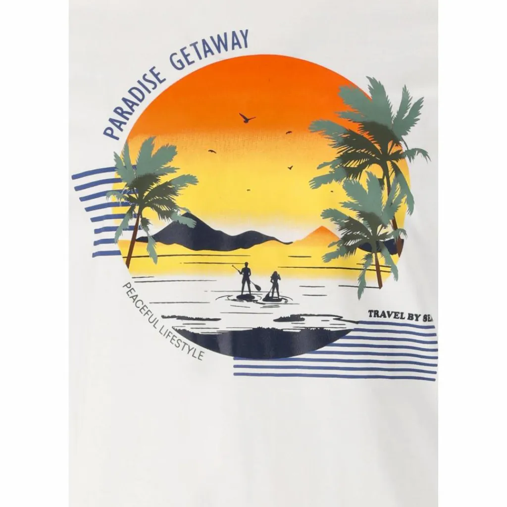 Clearance · Flair Volleyball