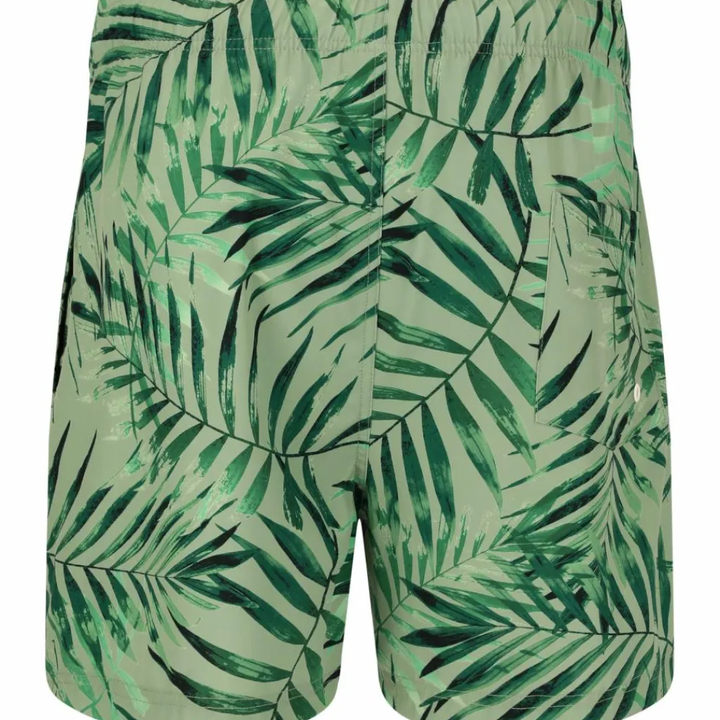 Cruz Volleyball<· Toby Print 3615 Green tropic