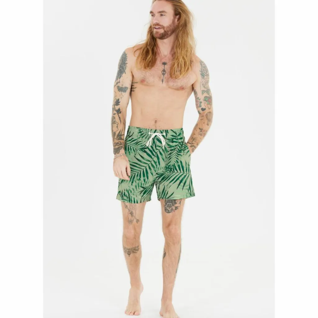 Cruz Volleyball<· Toby Print 3615 Green tropic