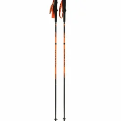 Dynafit Stöcke<· Alpine Pole dawn