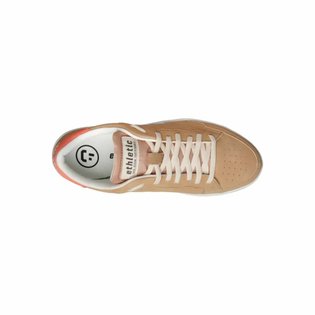 Clearance · Jesse Skateboarding