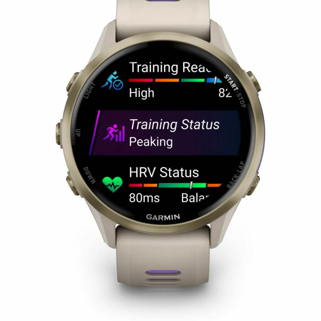 Garmin Wandern|Training<· Forerunner 970 gray-softgold