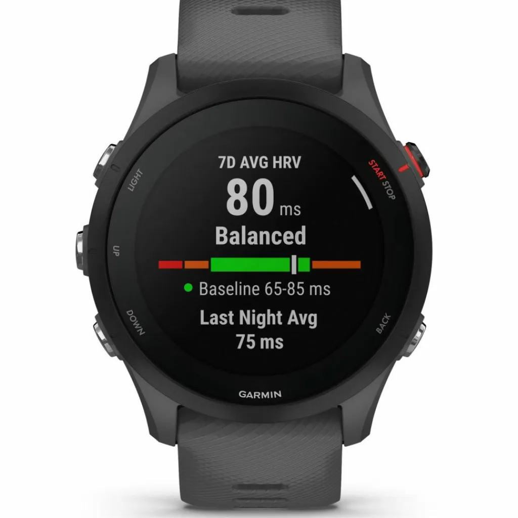 Garmin Uhren & Tracker|Uhren & Tracker<· Forerunner 255 Basic slate grey