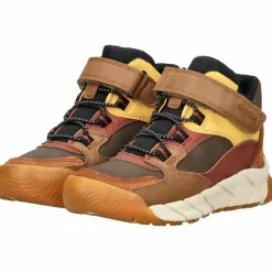 Geox Winterschuhe<· Stiefelette Braun