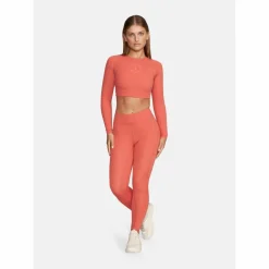 Gold's Gym Klettern & Bouldern|Klettern<· BROOKE astro dust